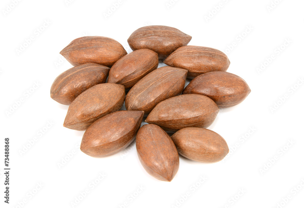Pecan nuts in shells Pecan nuts in shells