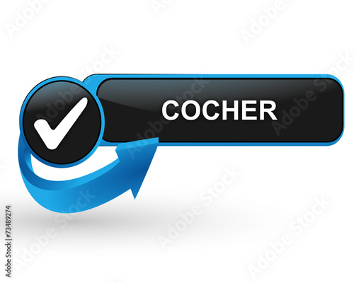 cocher sur bouton web design bleu