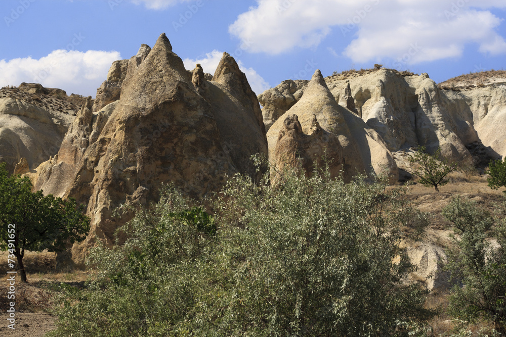 Fototapeta premium Valley, Cappadocia, Turkey