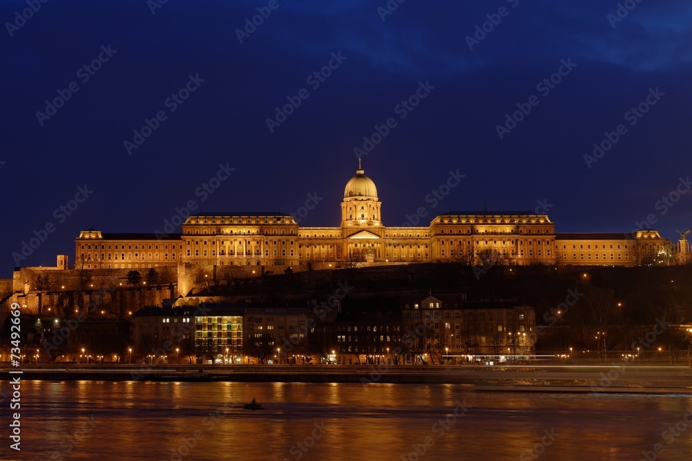 Buda Castle by the Danube river