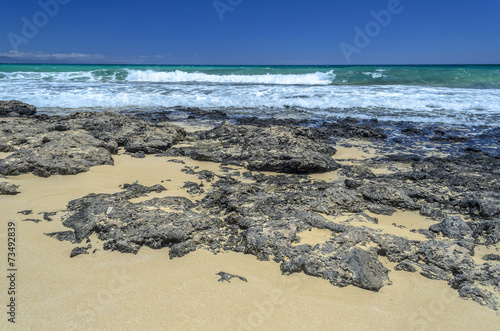 Fototapeta Naklejka Na Ścianę i Meble -  Beach at Corralejo, Fuerteventura Island
