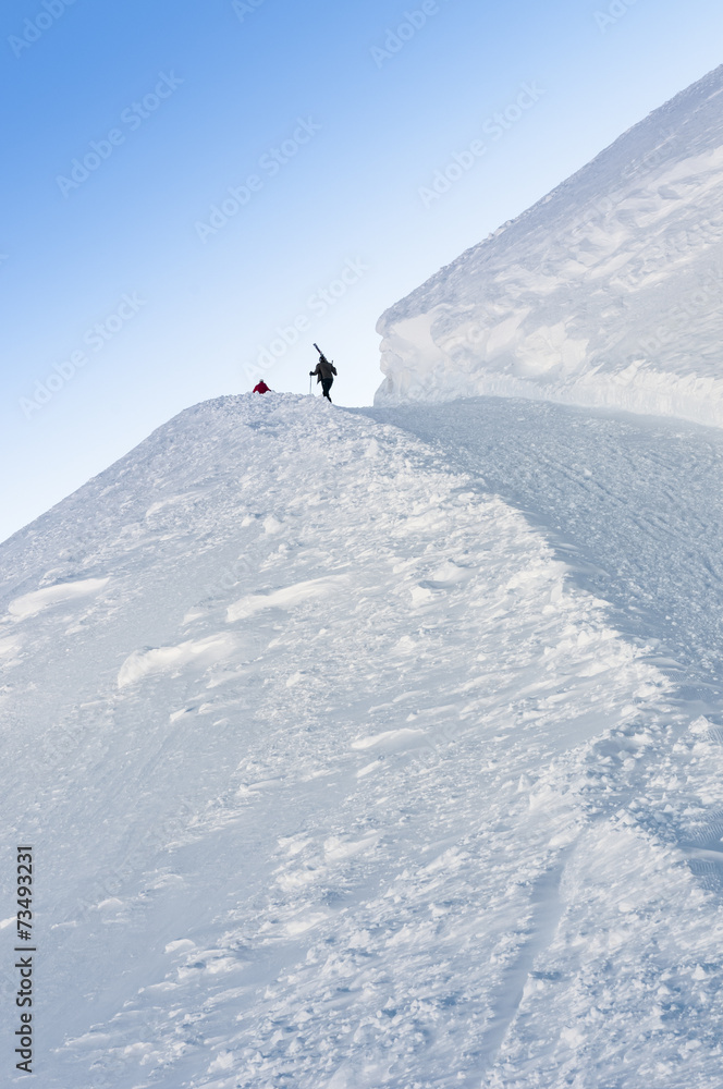 Group of skiers walks up the hill - vertical.