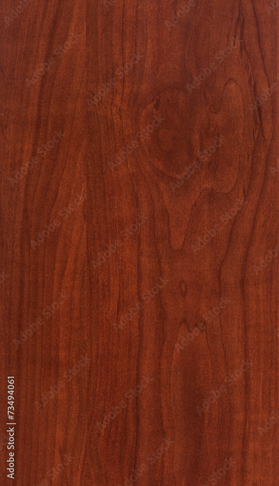 Obraz premium Wood Texture