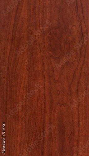 Wood Texture