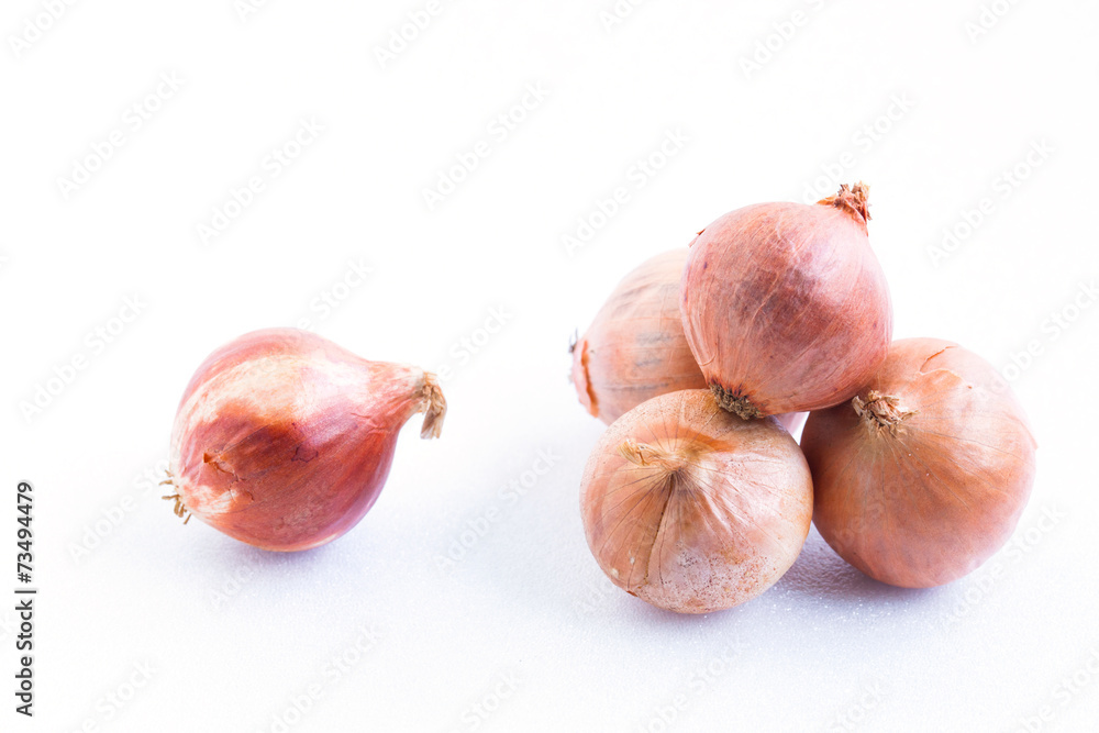 Fototapeta premium Onion on white background.