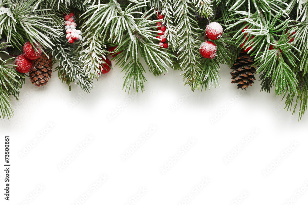 Christmas tree branches background - obrazy, fototapety, plakaty 