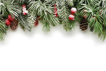 Christmas tree branches background