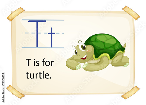 A letter T for turtle