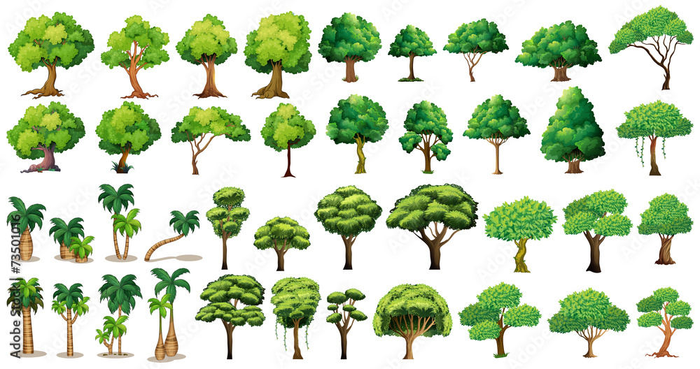 Obraz premium Tree set
