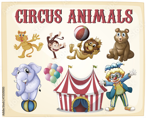 Circus animals