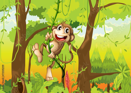 Fototapeta Naklejka Na Ścianę i Meble -  Monkey in the forest
