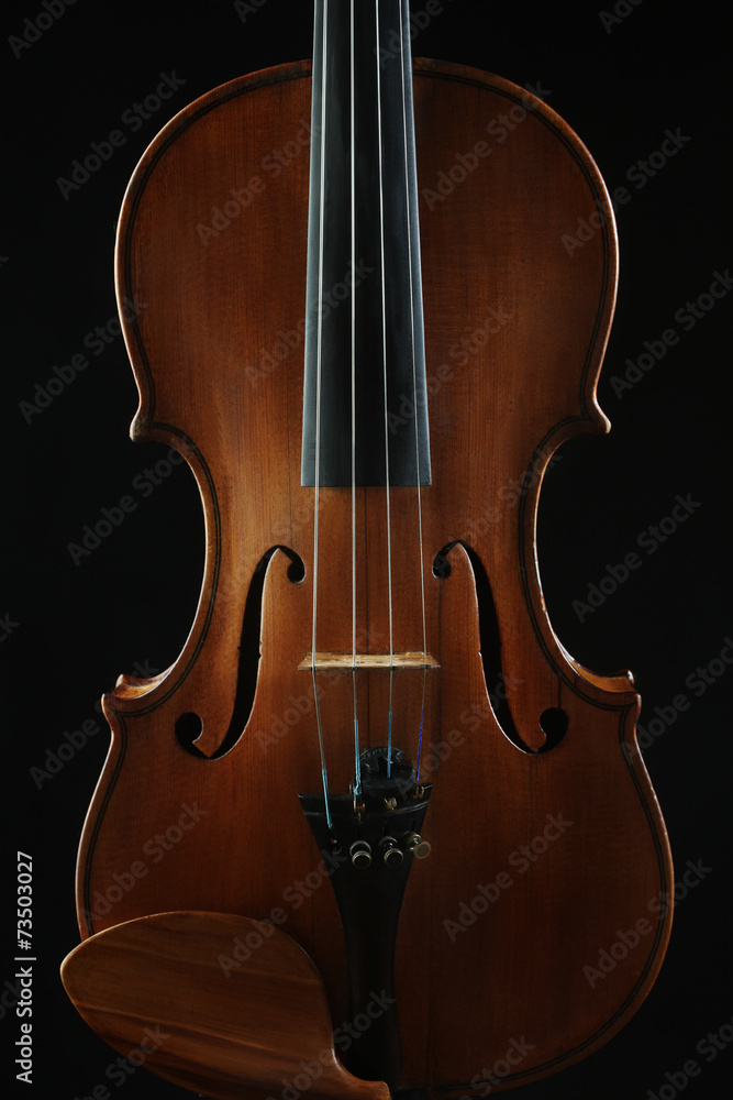 Fototapeta Zbliżenie instrumentów muzycznych orkiestry skrzypcowej