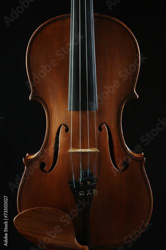 Violin orchestra musical instruments closeup