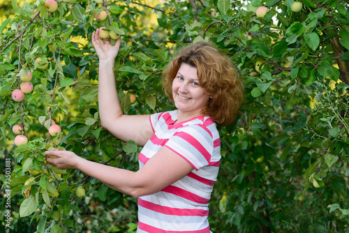 middle-aged woman in a garden about Apple trees