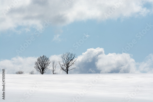 Tableau sur toile 雪原の丘に立つ木