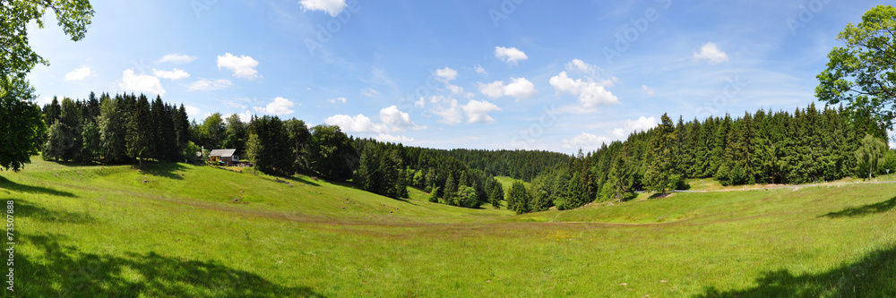 Panoramafoto Schwalbenhauptwiese / Thüringer Wald