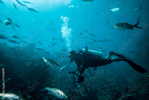 Diver and group of fishes in Derawan, Kalimantan underwater