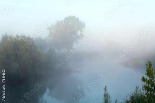 thick fog in the grove © salman2