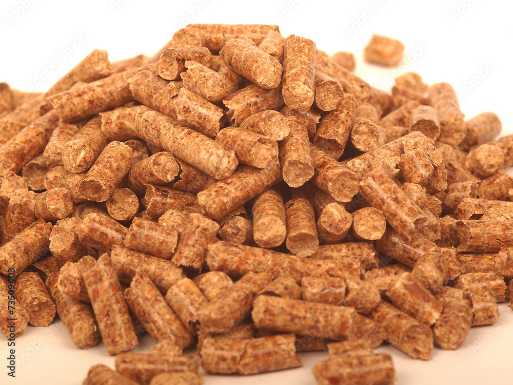 pellet pellet