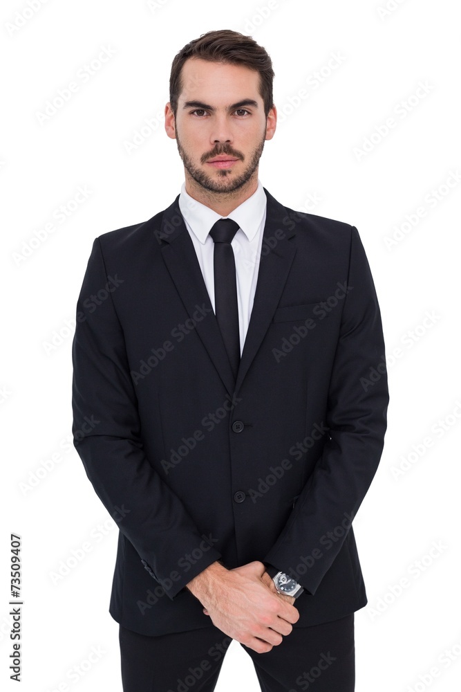 Portrait of a businessman with his hands joined Portrait of a businessman with his hands joined