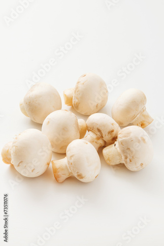 マッシュルーム