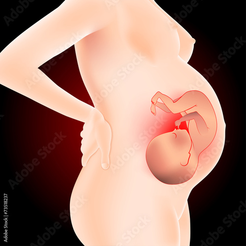 pregnant with fetus