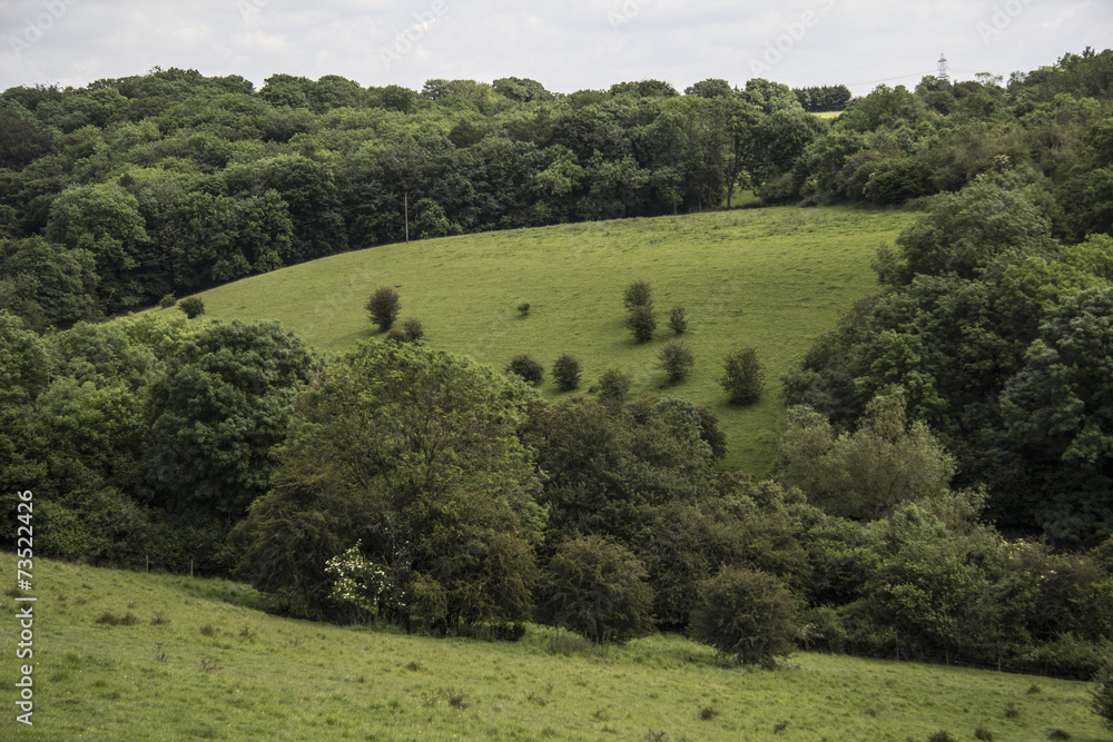 Fototapeta premium Countryside in Bath UK