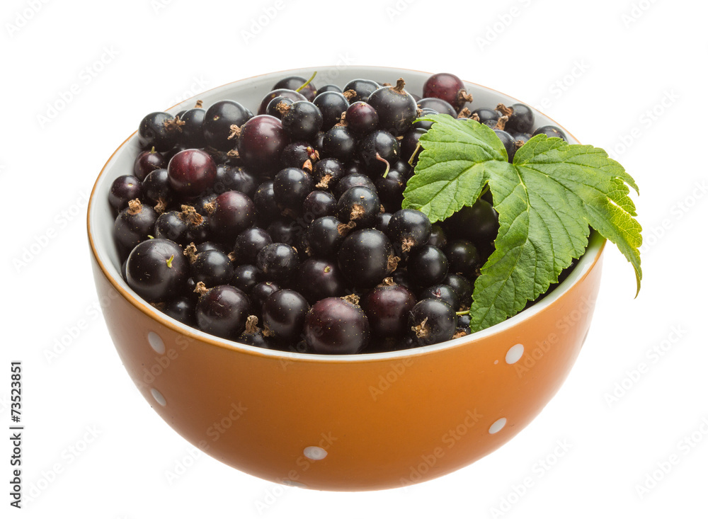 Black currant Black currant