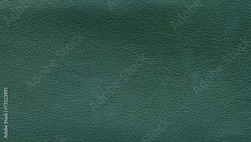 Surface of green leather