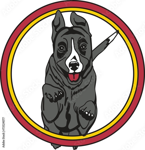 Dog07EG1