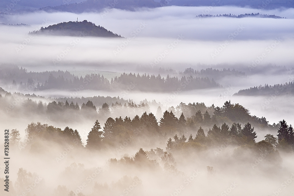 Fototapeta premium Morning fog