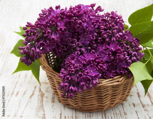 summer lilac flowers in basket
