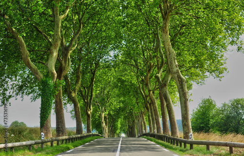 France, a country road in Val d Oise photo