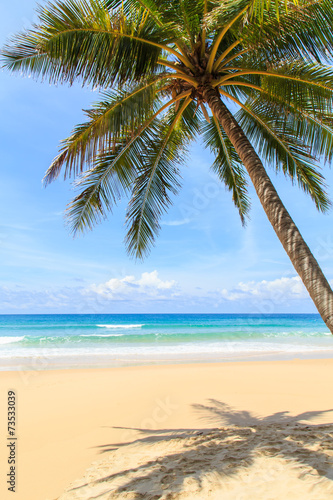 Tropical beach in Phuket  Thailand