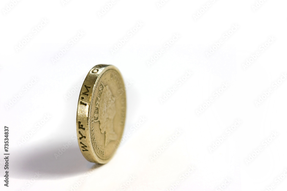 One pound coin