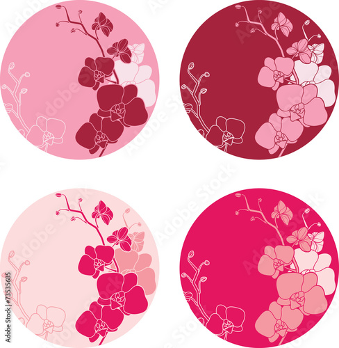 Fototapeta Naklejka Na Ścianę i Meble -  Plates design with orchids