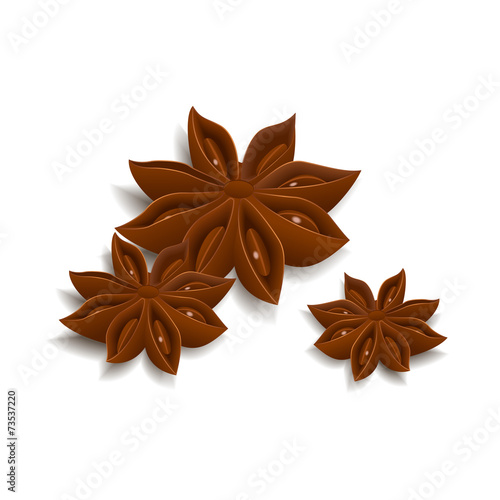 Anise star