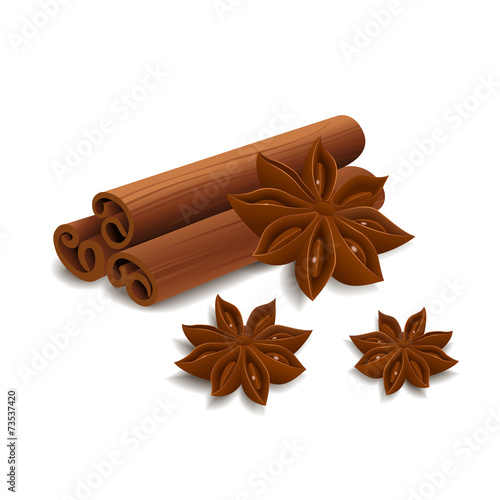 Cinnamon and star anise