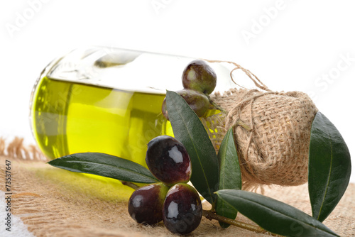 oliera e olive coricata photo
