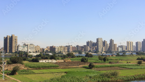 Green field in a village beside Cairo  Egypt
