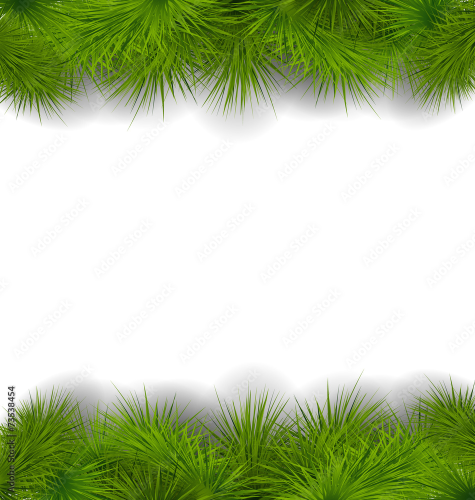 Christmas frame made in realistic fir twigs Christmas frame made in realistic fir twigs