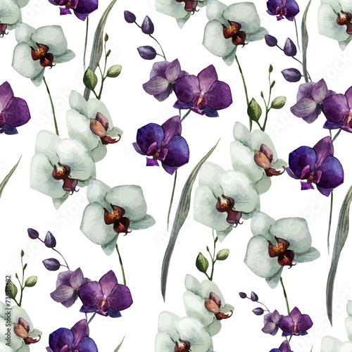 Beautiful orchid flower7