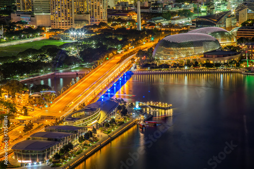 Singapore skyline at night © kapuk