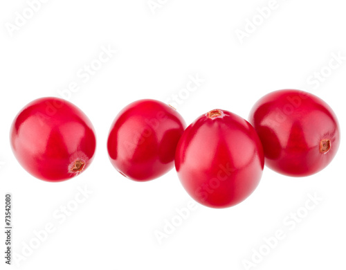 cranberry isolated on white background cutout