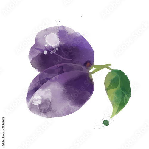 Plum