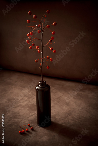 Still life with rennet apple branch photo