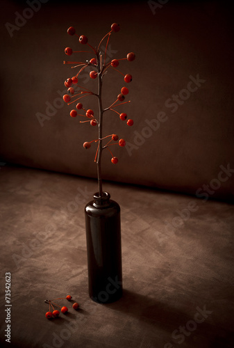 Obraz na plátně Still life with rennet apple branch