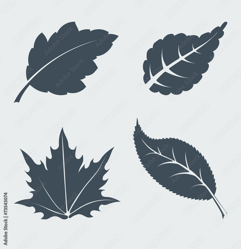 Set of vector leaves. Set of vector leaves.