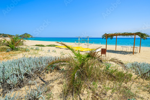 Palm trees on Cala Sinzias beach, Sardinia island, Italy