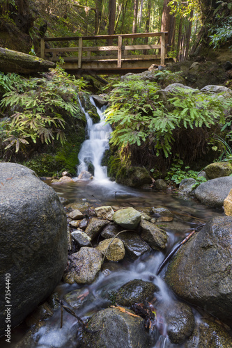 Food Bridge over Fall Creek